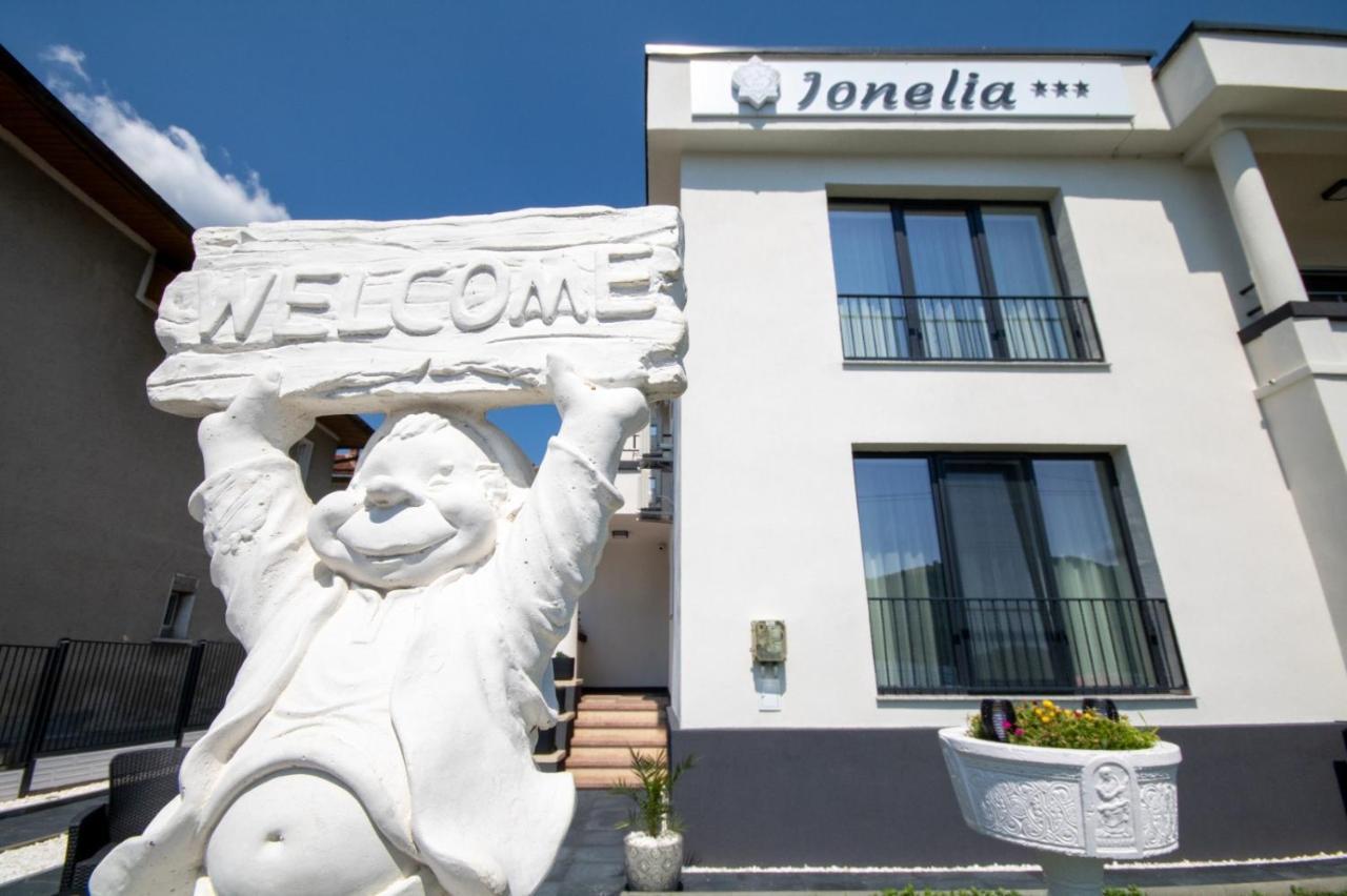 Pensiunea Ionelia Guest house