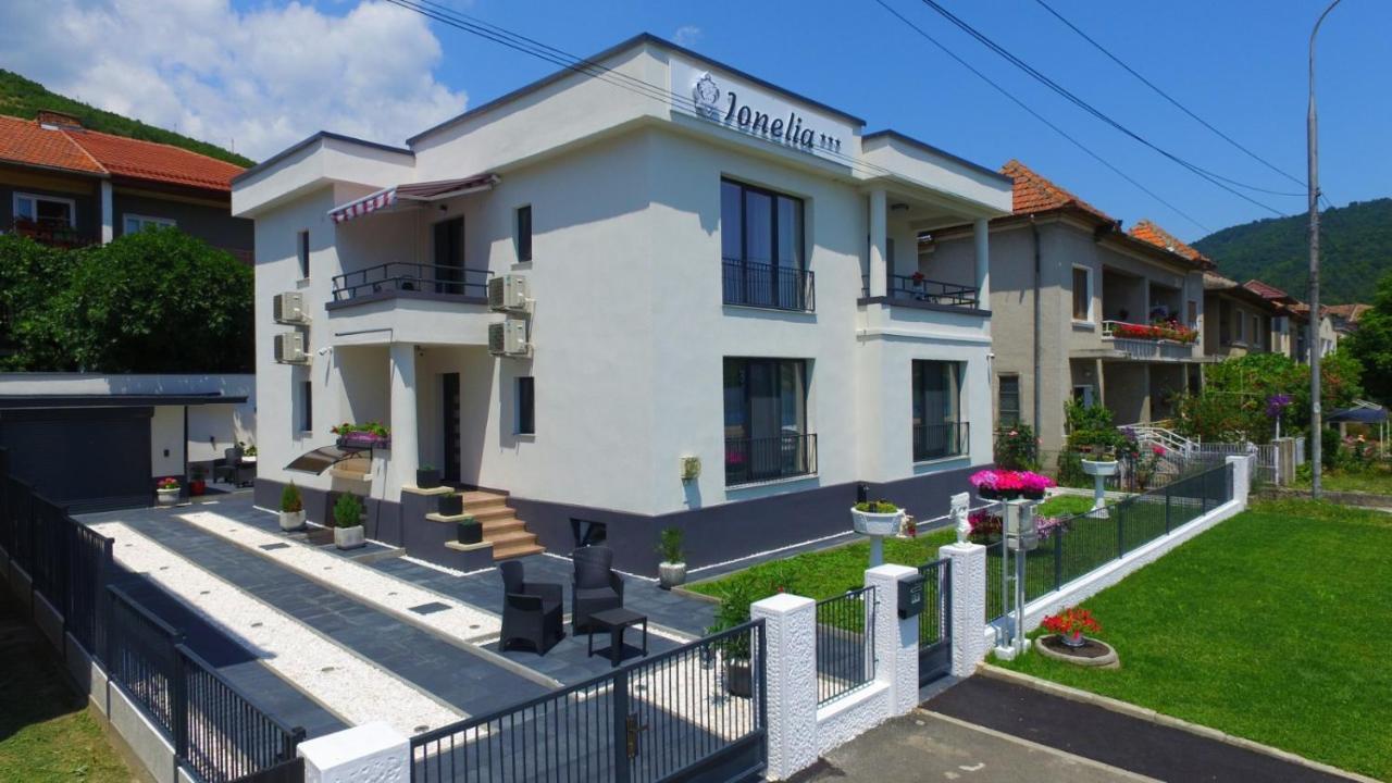 Pensiunea Ionelia Guest house Orsova