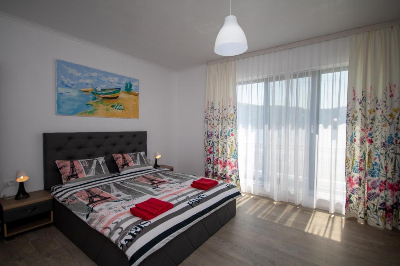Pensiunea Ionelia Guest house