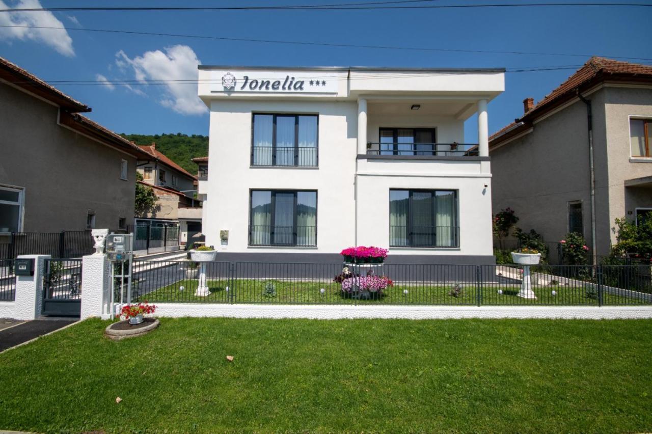 Pensiunea Ionelia Guest house