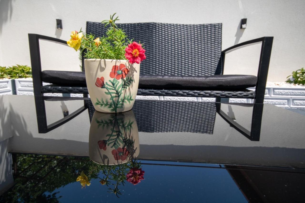 Pensiunea Ionelia Guest house
