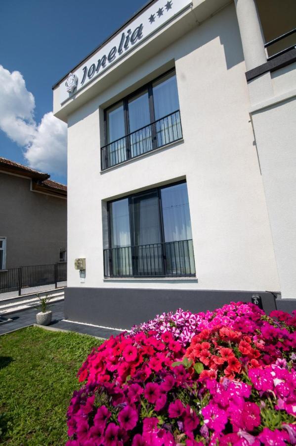 Pensiunea Ionelia Guest house *